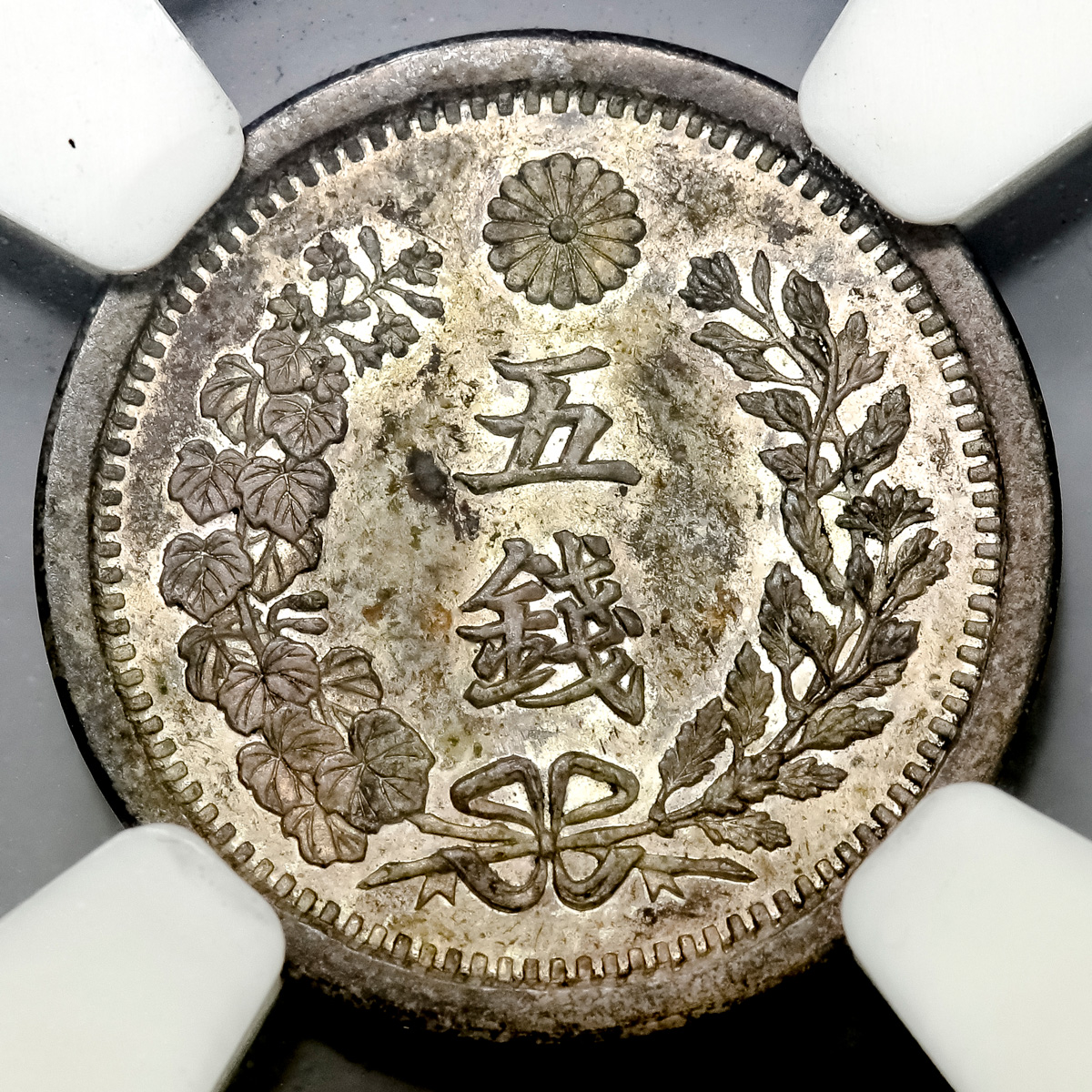 貨幣博物館 | 日本 試作竜5銭 Pattern Dragon 5Sen 明治25年(1892 