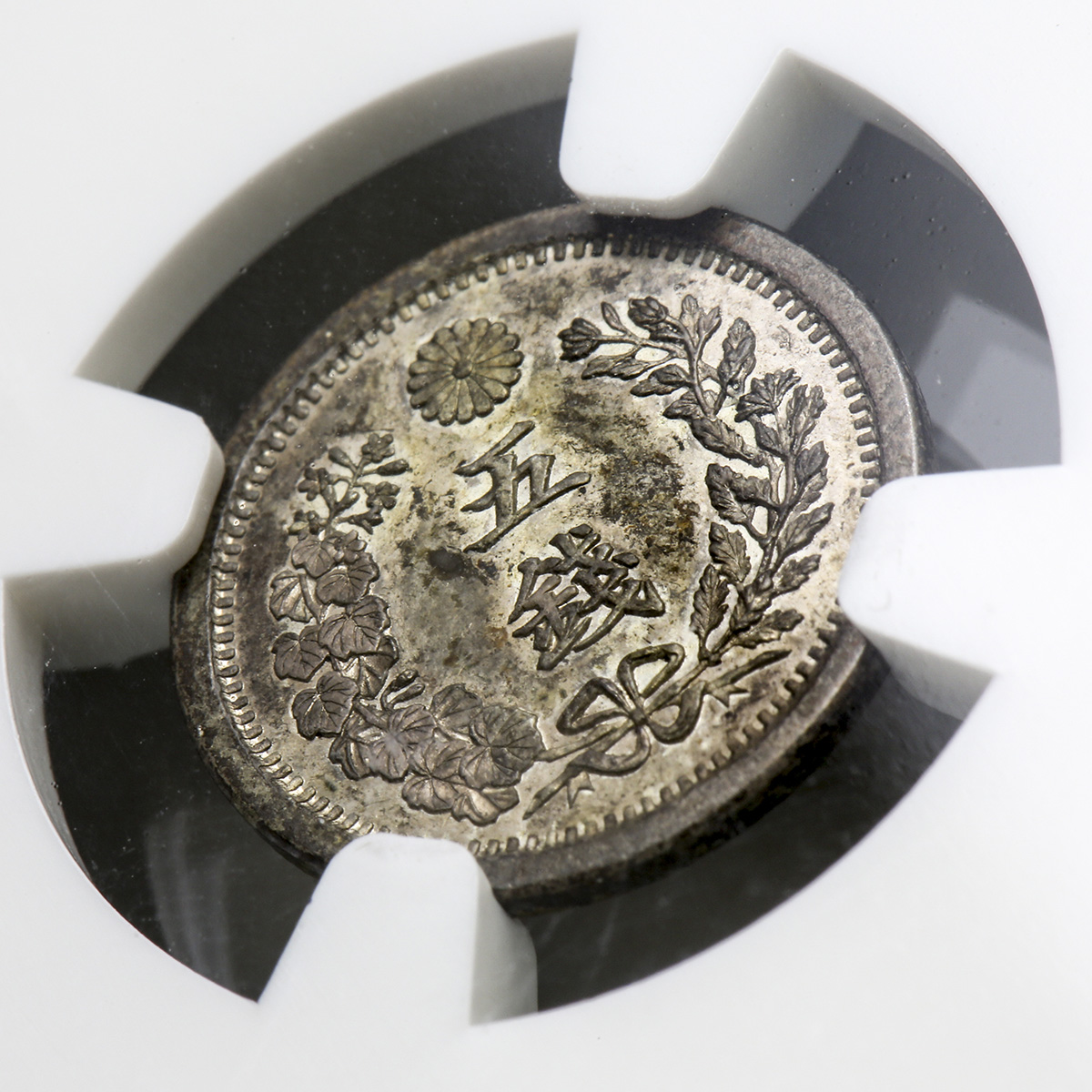 貨幣博物館   日本 試作竜5銭   年