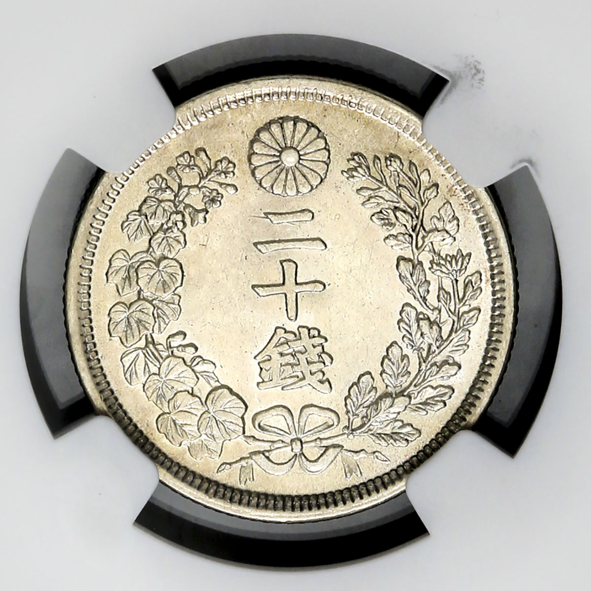 2016032914250844557725_w1200h1