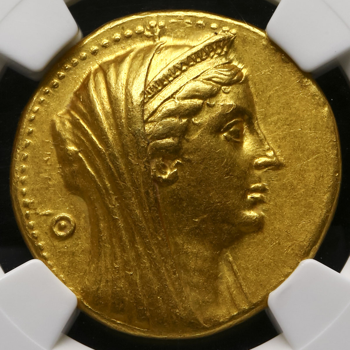 貨幣博物館 | Ptolemaic Kingdom プトレマイオス朝 AV