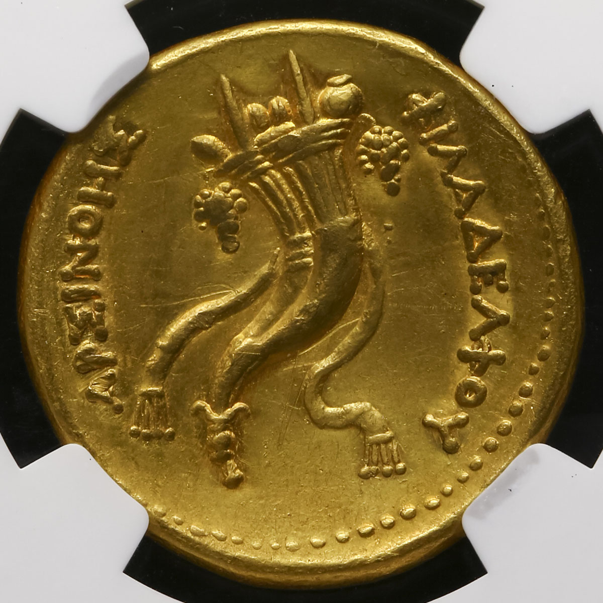 貨幣博物館 | Ptolemaic Kingdom プトレマイオス朝 AV Octodrachm