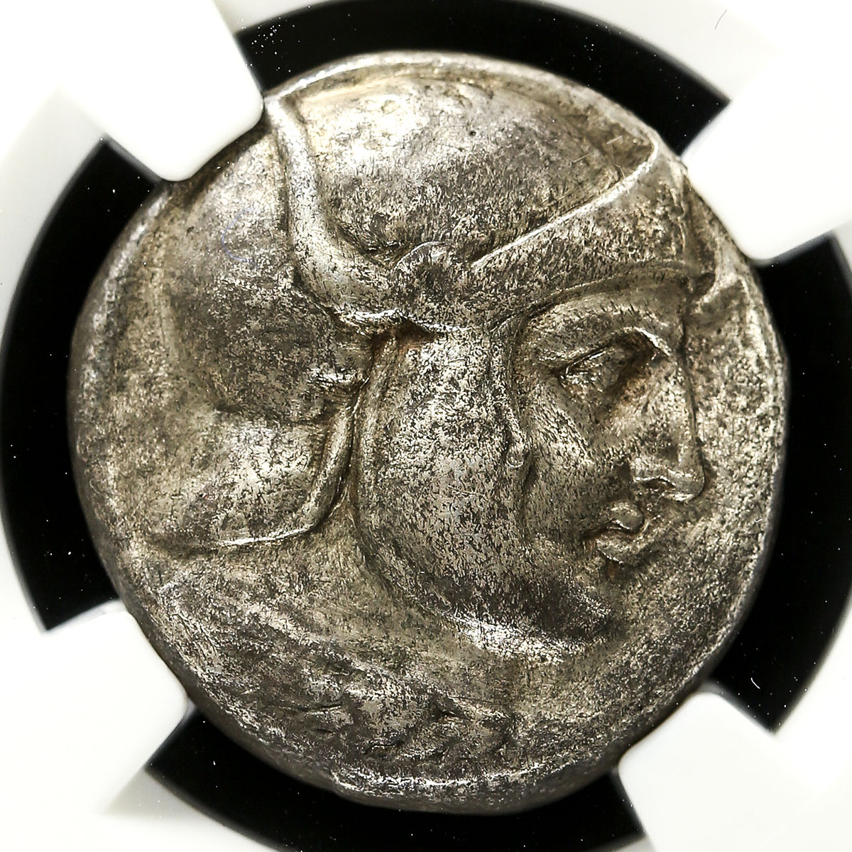 貨幣博物館 | Seleucid Kingdom セレウコス朝シリア AR