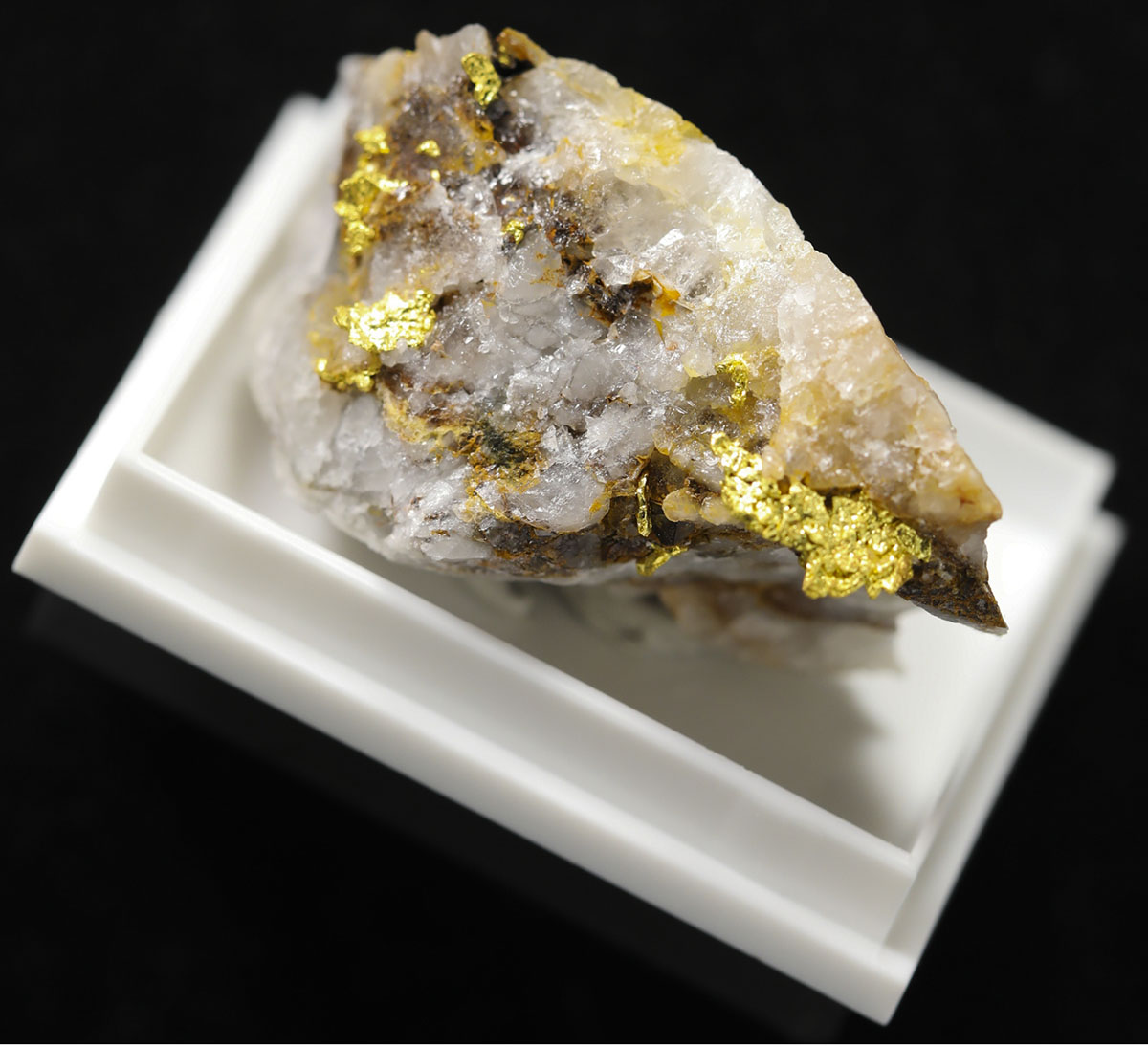 自然金　GOLD 貨幣博物館 | Ornament 置物 自然金 Gold in the small rock