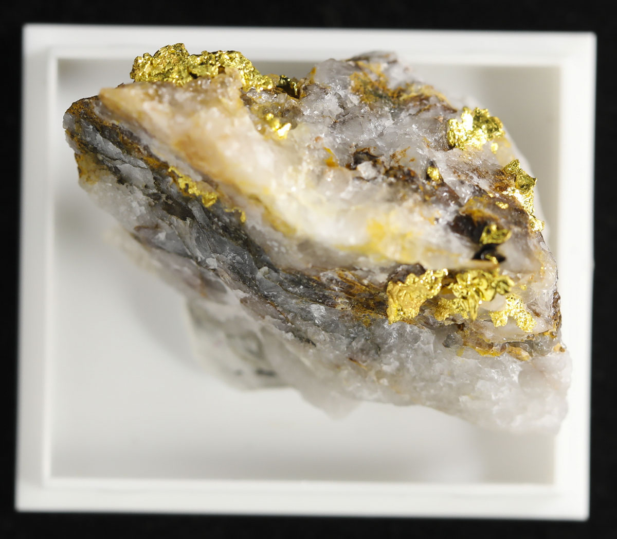 自然金　GOLD 貨幣博物館 | Ornament 置物 自然金 Gold in the small rock