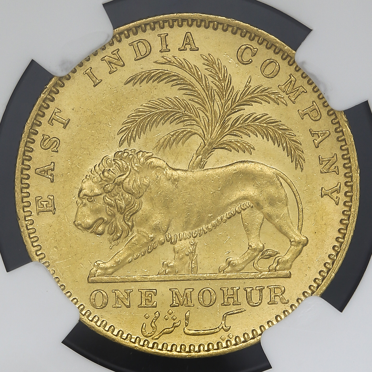 auction,NGC-MS62 INDIA British India イギリス領インド Mohur 1841（B&C） AU/UNC