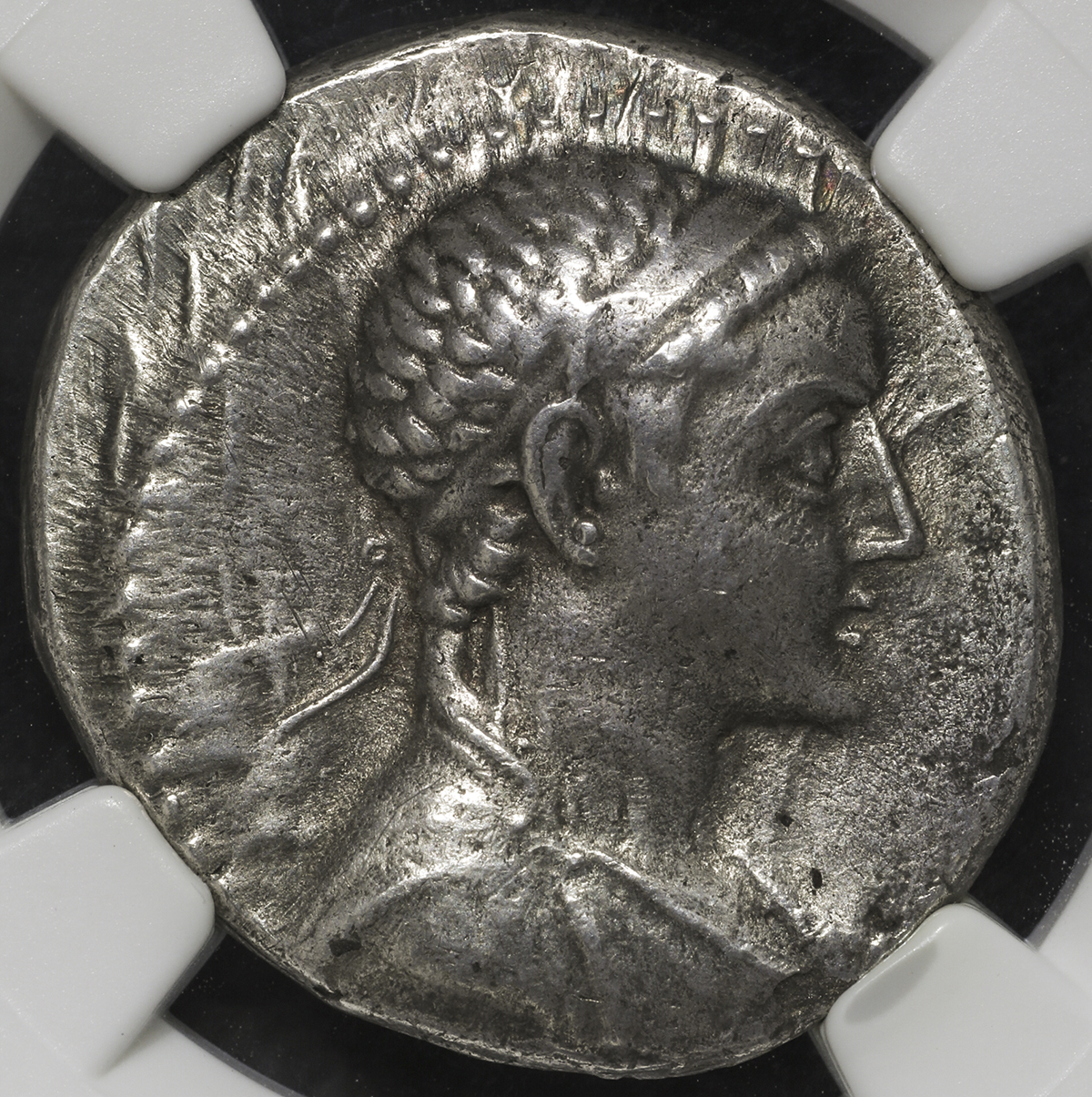 貨幣博物館 | Ptolemaios Kingdom プトレマイオス朝エジプト AR