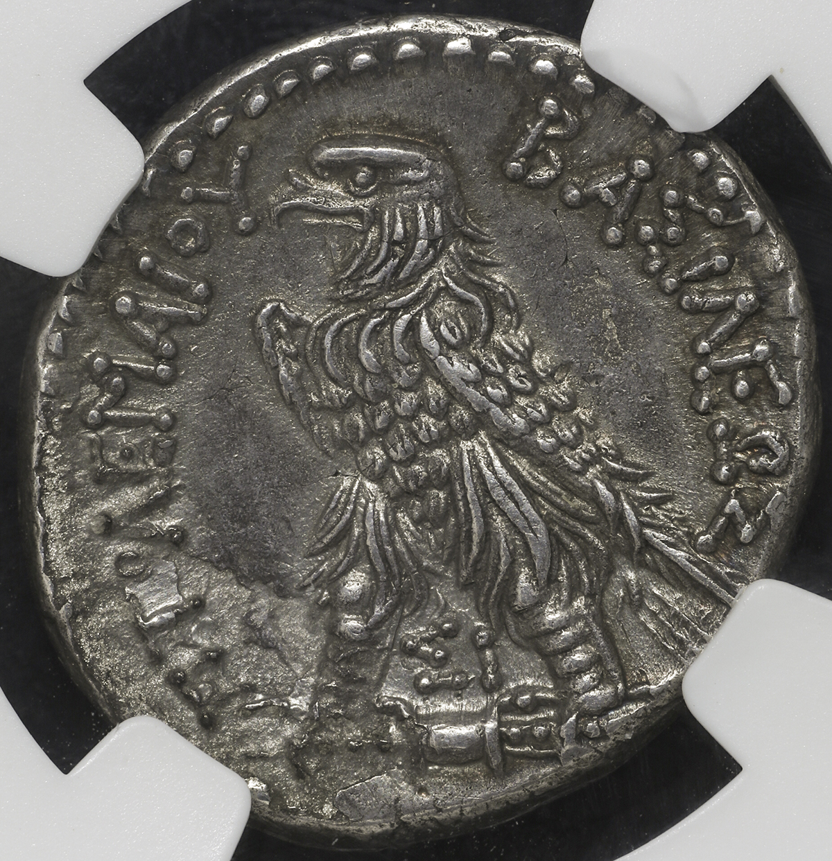 貨幣博物館 | Ptolemaios Kingdom プトレマイオス朝エジプト AR