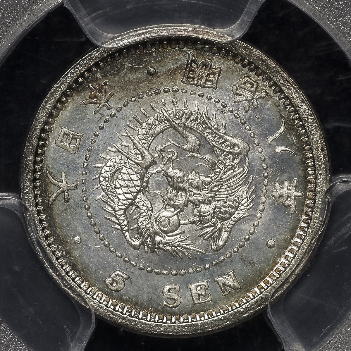 明治8年 竜5銭銀貨 PCGS MS67 1875年-