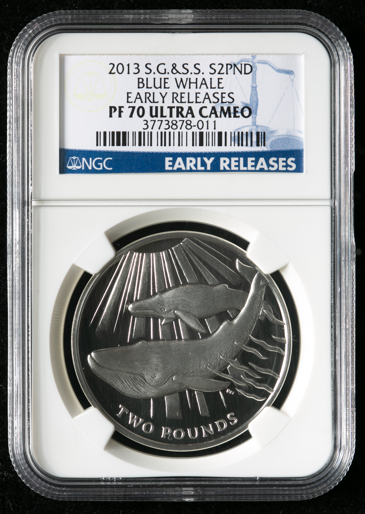 オークション サウスジョージア サウスサンドウィッチ諸島 2pounds 13 Ngc Pf70 Ultra Cameo Early Releases