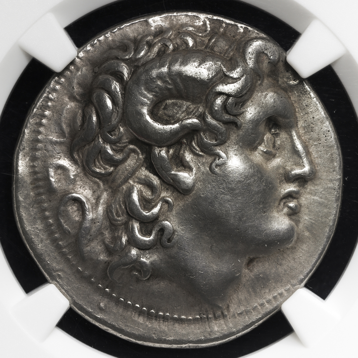 貨幣博物館 | Kingdom of Thrace トラキア王国 AR Tetradrachm