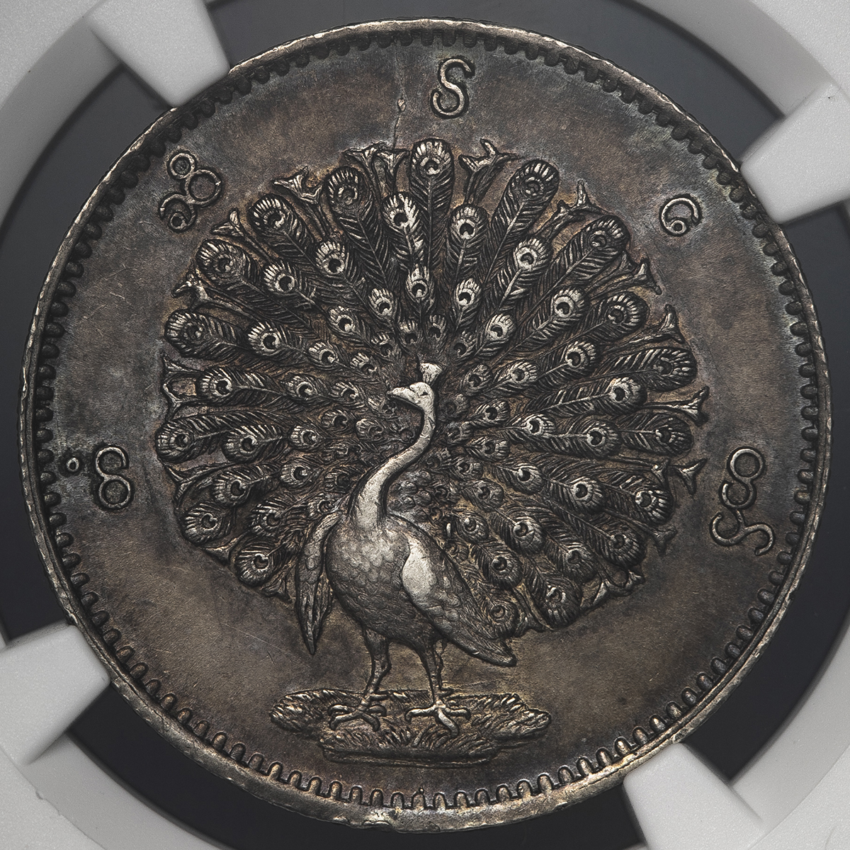NGC鑑定AU】ビルマ ミャンマー 孔雀 クジャク 1チャット銀貨 1852年 