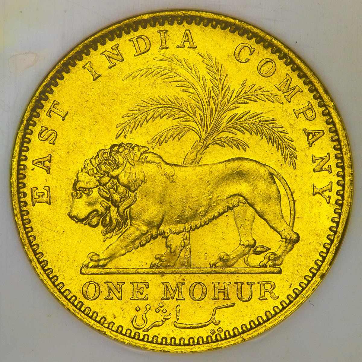 貨幣博物館 | INDIA British-India イギリス領インド Mohur 1841