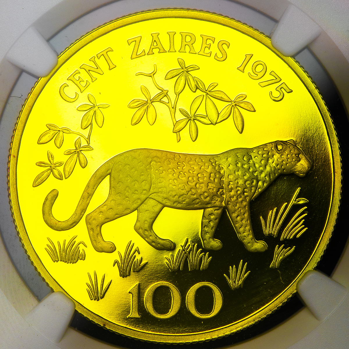 Coin Museum Zaire ザイール 100zaires 1975 Proof