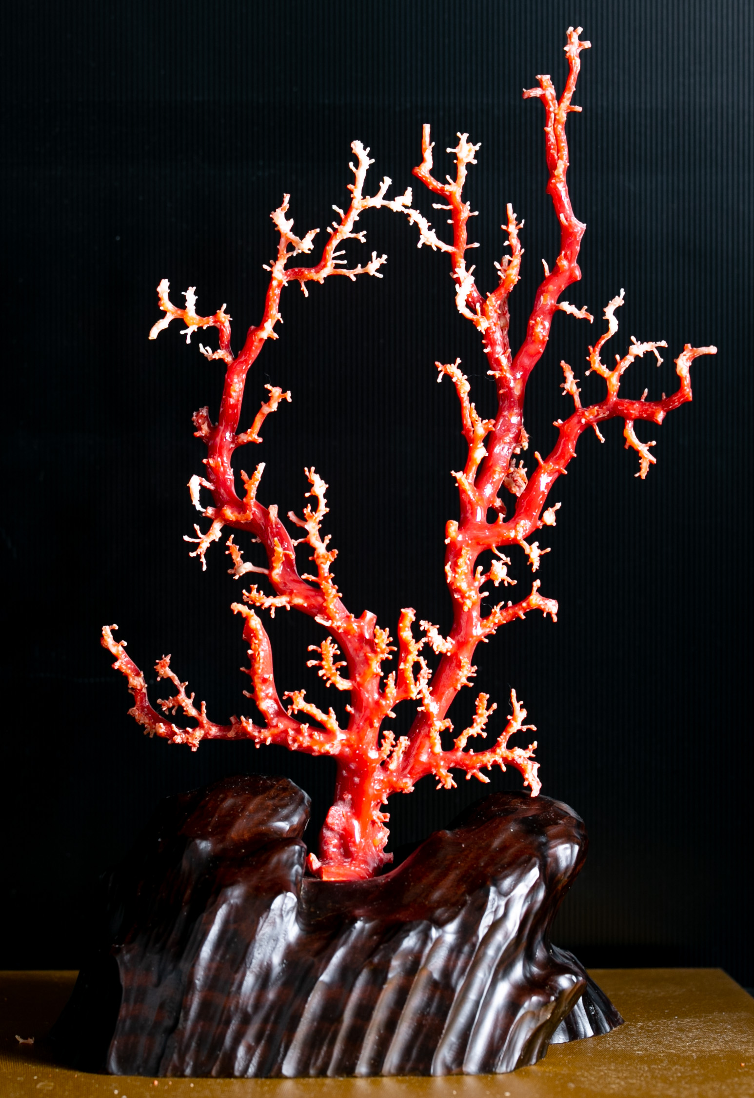 Auction Ornament 置物 赤珊瑚 Coral 返品不可 要下見 Sold As Is No Returns 発送不可 Shipping Unavailable