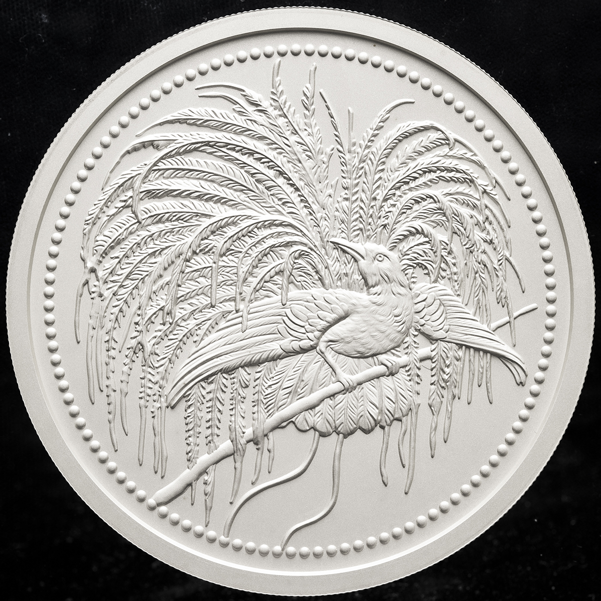 貨幣博物館 | PAPUA NEW GUINEA パプアニューギニア 200Kina in Silver 2020 Matte Proof