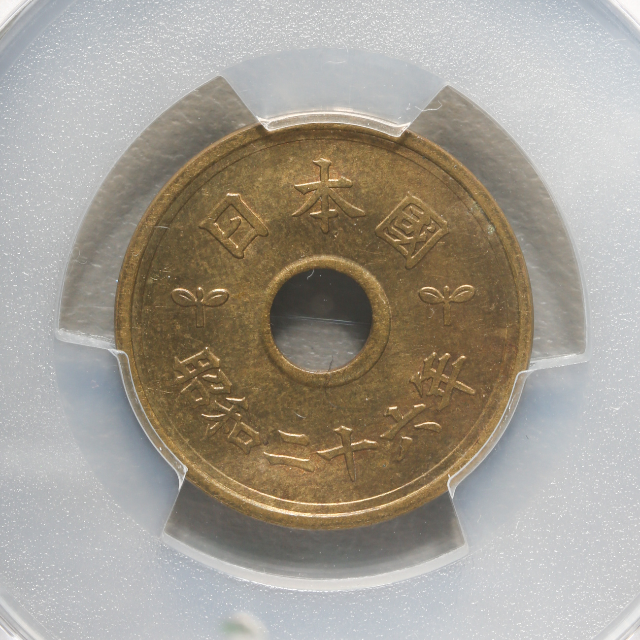 昭和26年 NGC-MS64 五円黄銅貨(楷書体) - アンティーク、コレクション
