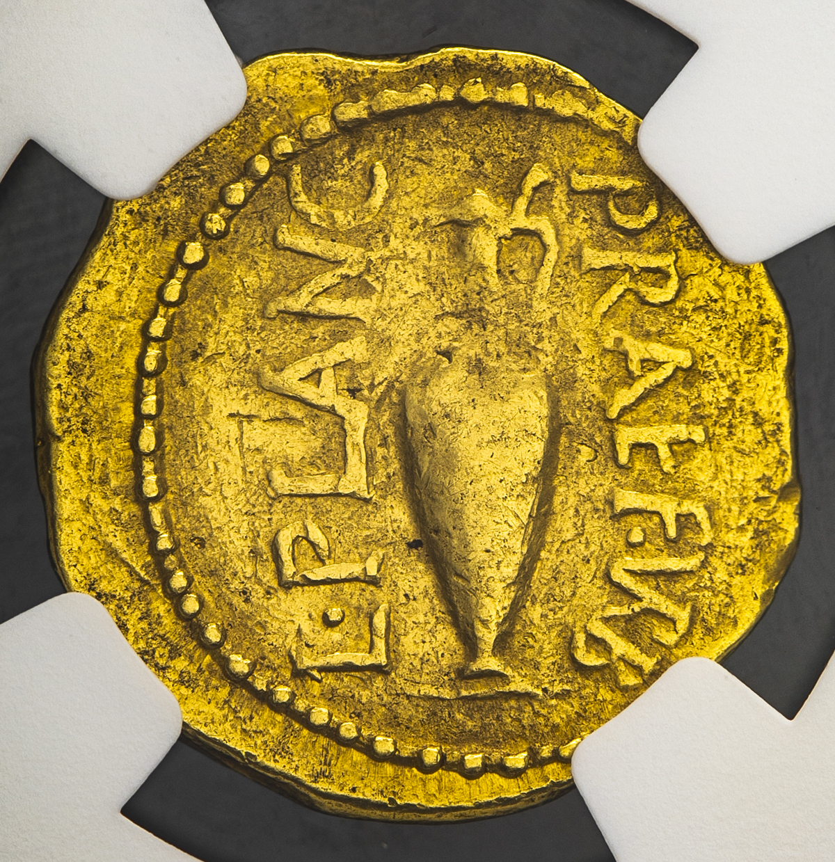 TKC007 共和政ローマの 857-sub1.jpg