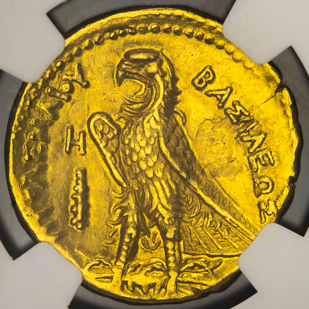 貨幣博物館 | Ptolemaic Kingdom プトレマイオス朝 AV Pentadrachm