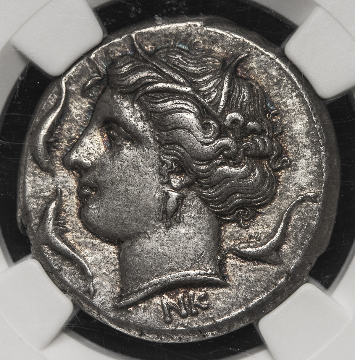 貨幣博物館 | SICILY,Syracuse シチリア,シラクサ AR Tetradrachm