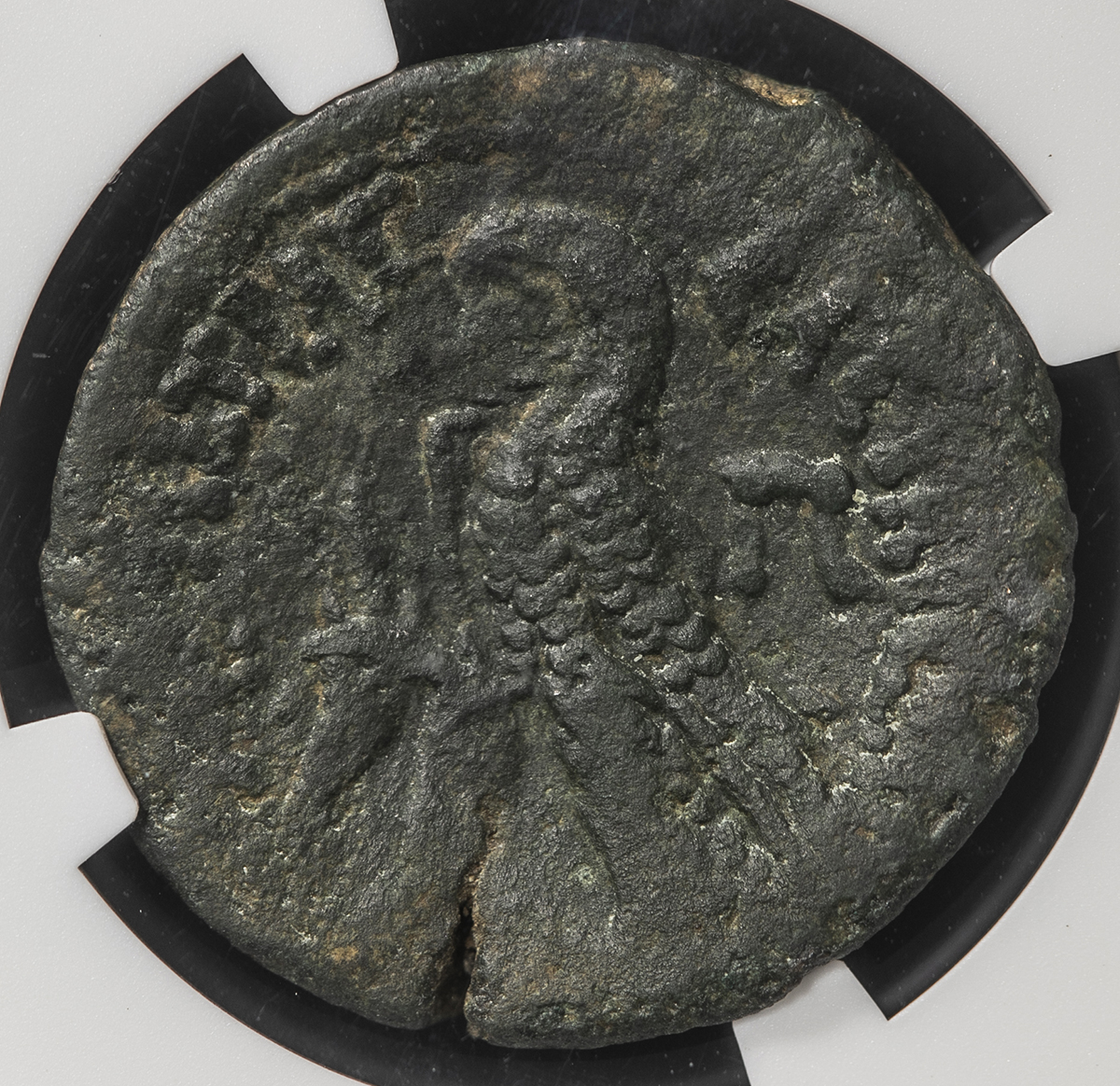 貨幣博物館 | Ptolemaic Kingdom プトレマイオス朝 AE80 Drachmae