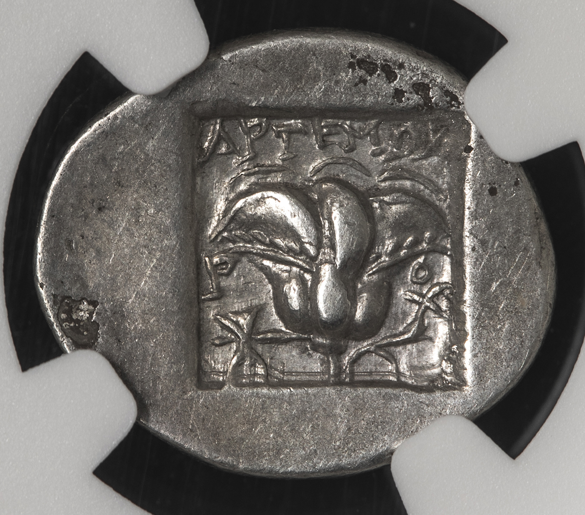 貨幣博物館 | CARIA,Rhodes カリア・ロードス島 AR Drachm 150~125BC -EF