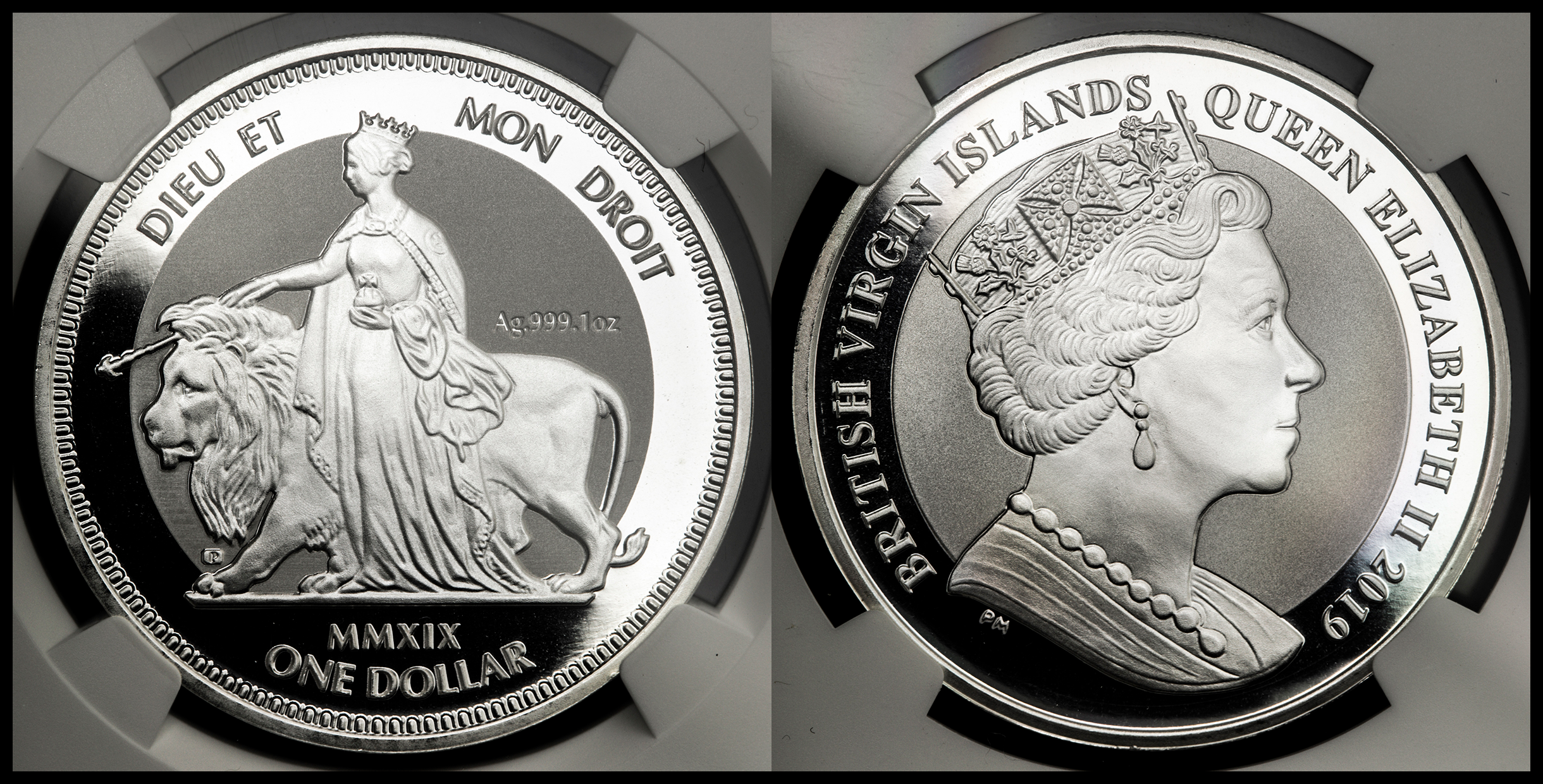 2019 イギリス領ヴァージン諸島 ウナとライオン 1オンス 銀貨 