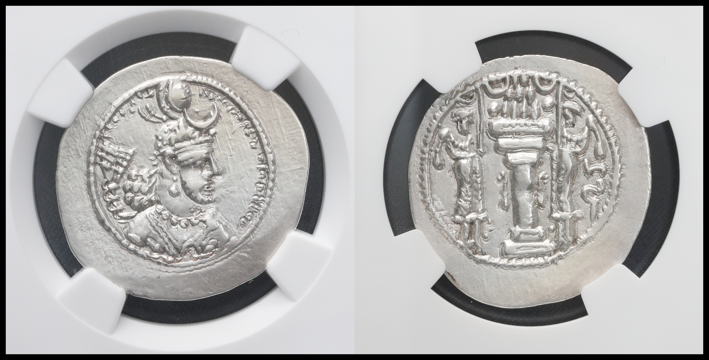 貨幣博物館 | Sassanid Kingdom ササン朝ペルシア AR Drachm