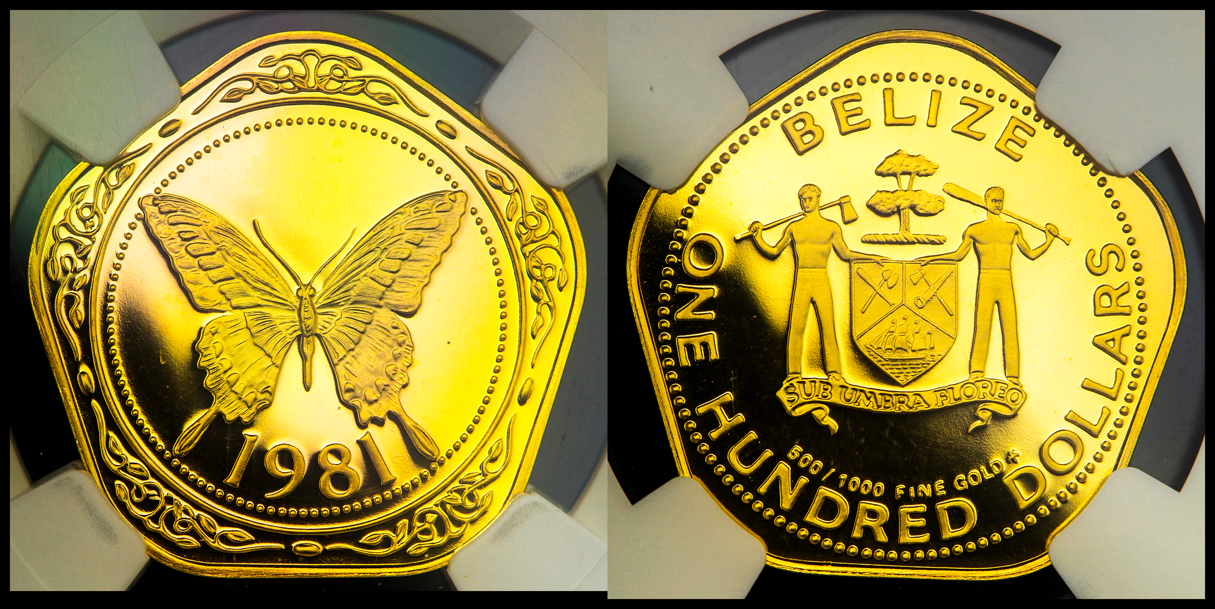 オークション,NGC-PF70 Ultra Cameo BELIZE ベリーズ 100Dollars 1981 Proof