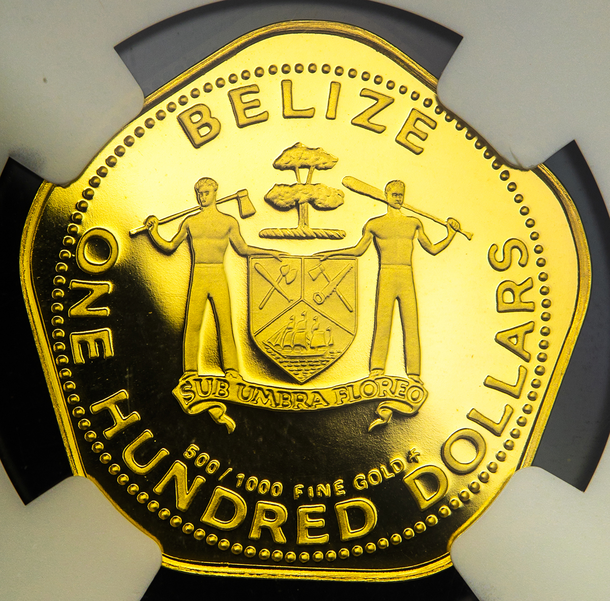 オークション,NGC-PF70 Ultra Cameo BELIZE ベリーズ 100Dollars 1981 Proof