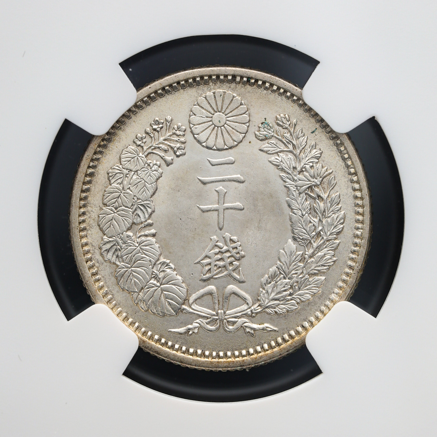 希少　 旧貨幣 　明治２１年　　竜　二十銭 銀貨 近代貨幣！ 竜20銭銀貨 明治21年 二十銭 古銭 硬貨 貨幣