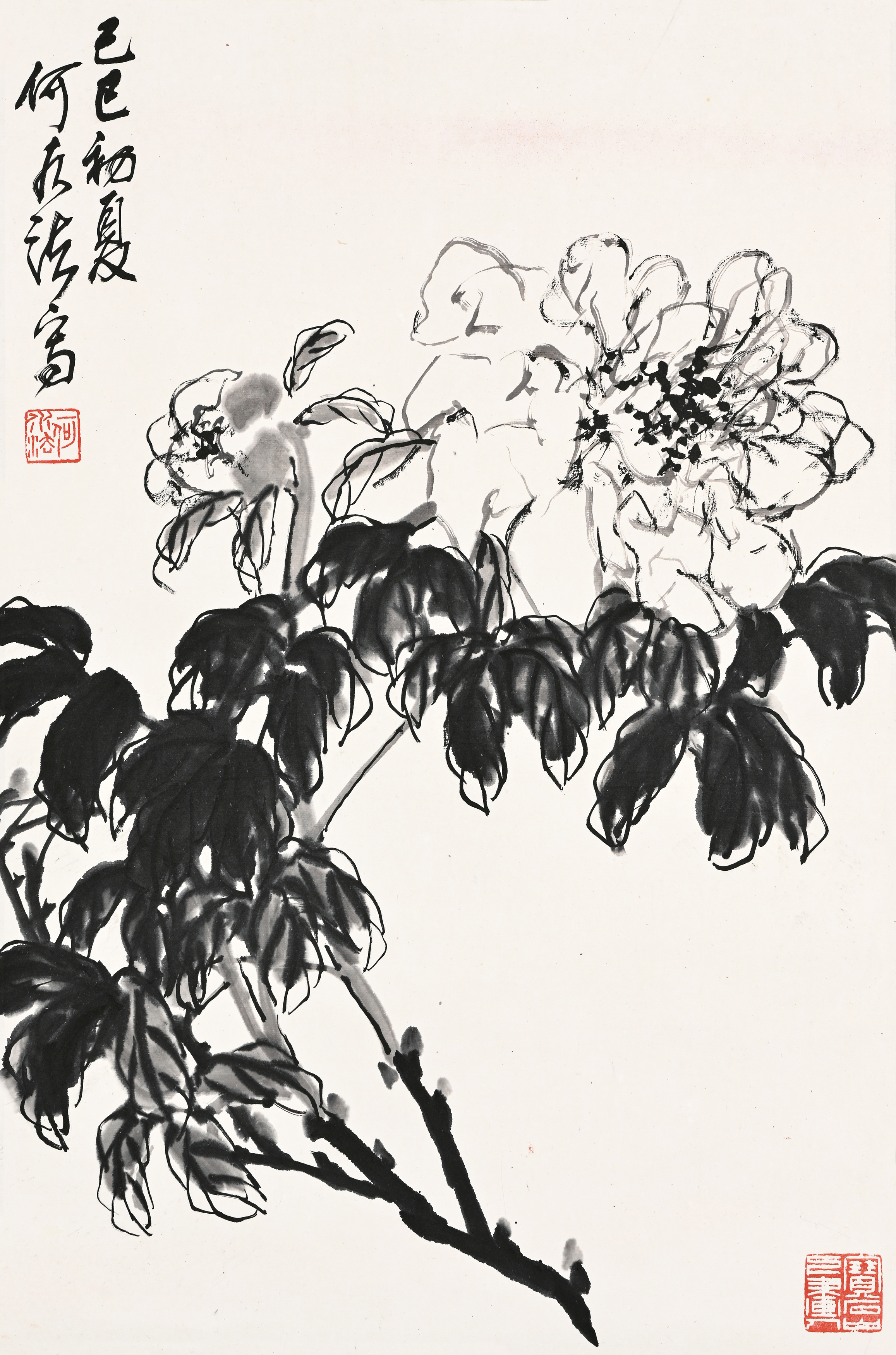 貨幣博物館| 墨牡丹款識：己巳初夏，何水法寫。 鈐印：「何水法