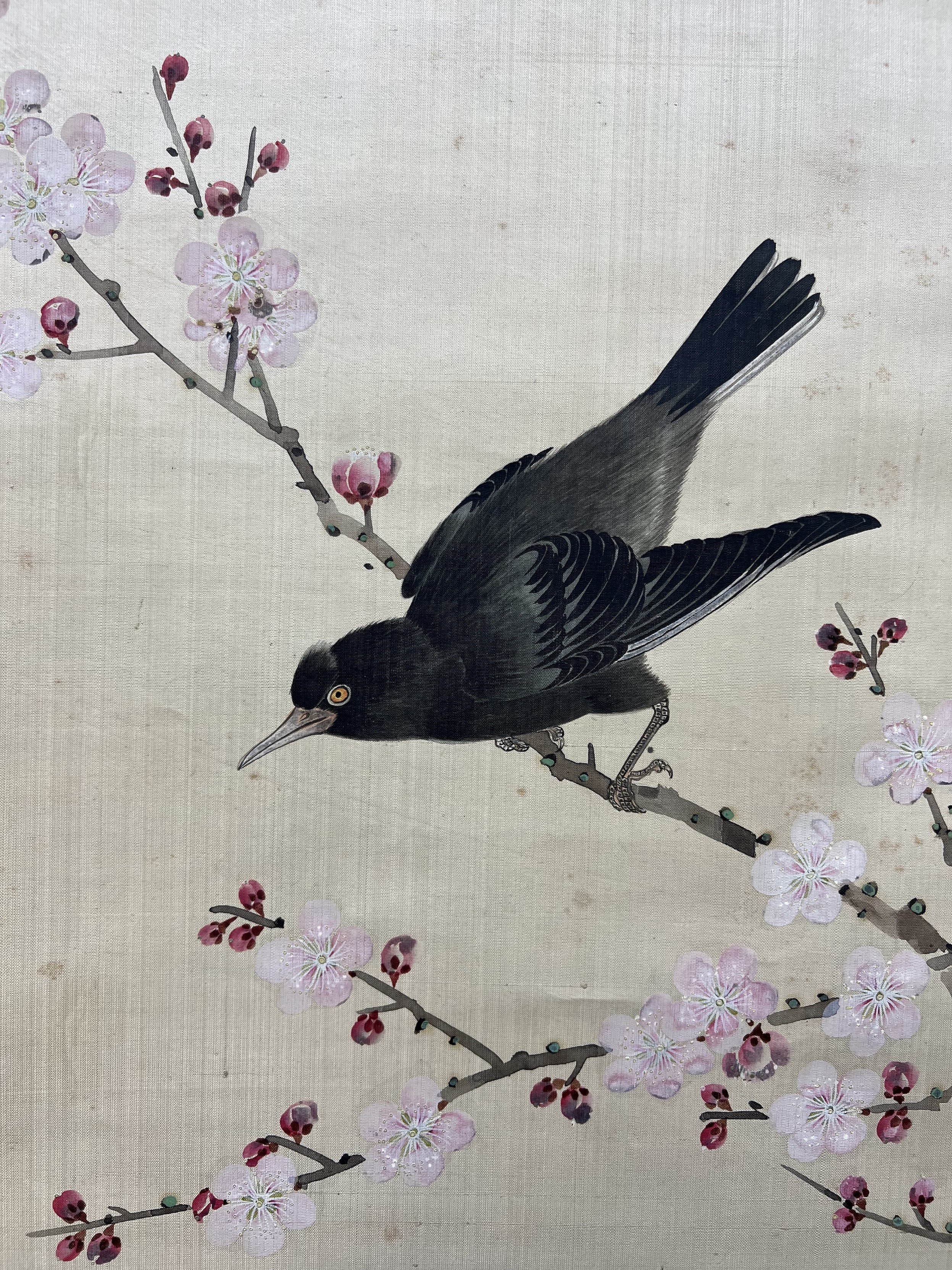 貨幣博物館| 花鳥款識：丁巳嘉平，景含馬家桐寫於耿軒。 鈐印