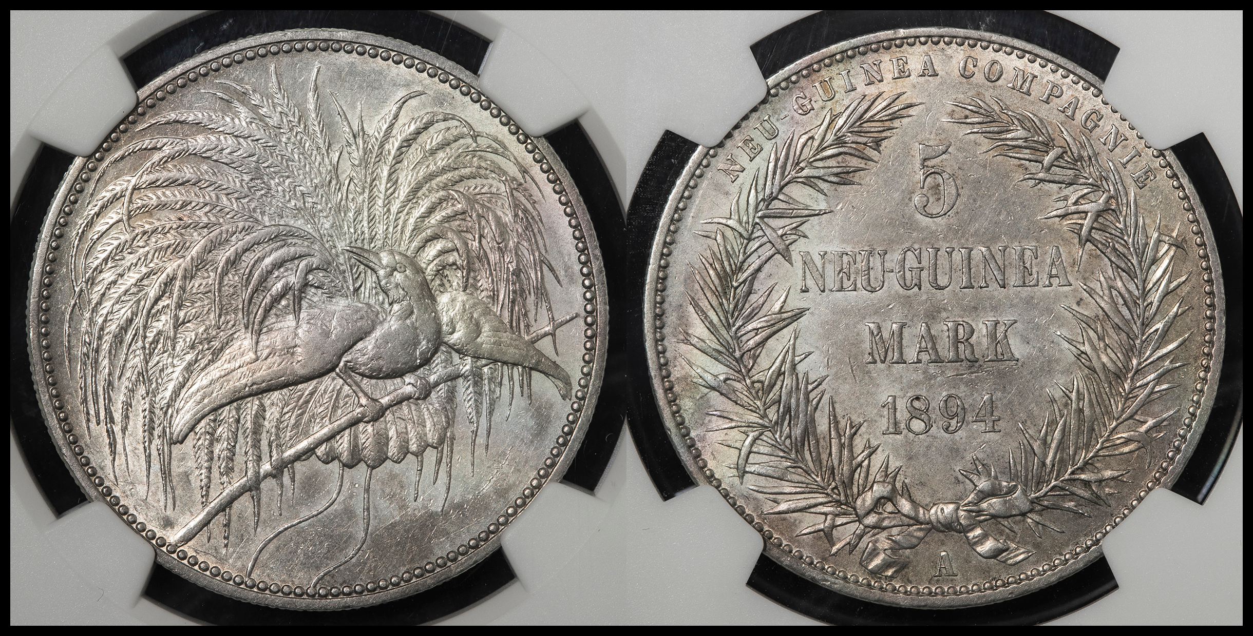 貨幣博物館 | GERMAN NEW-GUINEA ドイツ領ニューギニア 5Mark 1894A EF