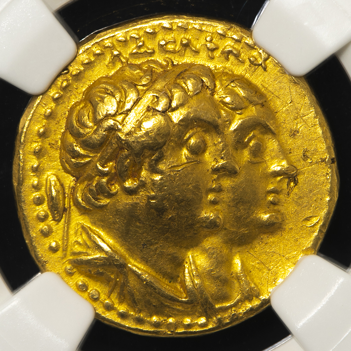 貨幣博物館 | Ptolemaic Kingdom プトレマイオス朝 AV 貨幣博物館 | Ptolemaic Kingdom プトレマイオス朝 AV
