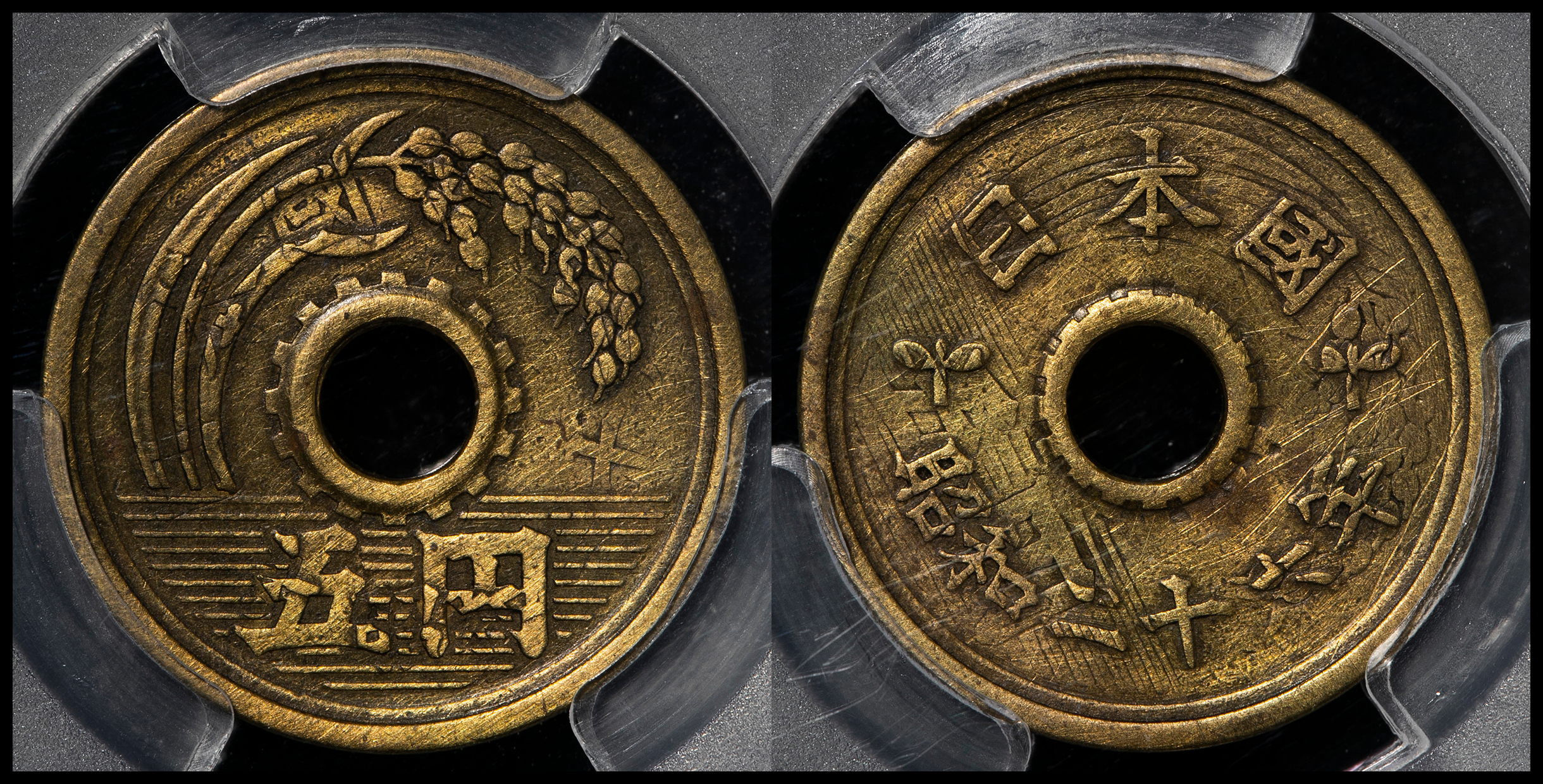 貨幣博物館 | 日本 五円黄銅貨（楷書体） Kaisho Lettered 5Yen 昭和26