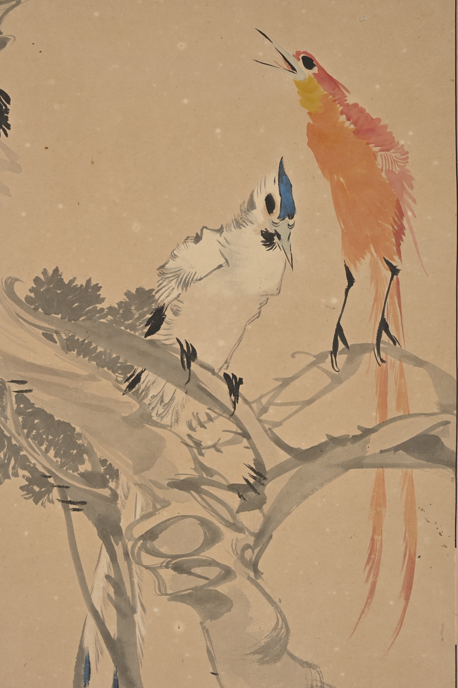 貨幣博物館| 花鳥款識:心齋大公祖大人教正。潘嵐椒石甫寫。 鈐 貨幣博物館| 花鳥款識:心齋大公祖大人教正。潘嵐椒石甫寫。 鈐