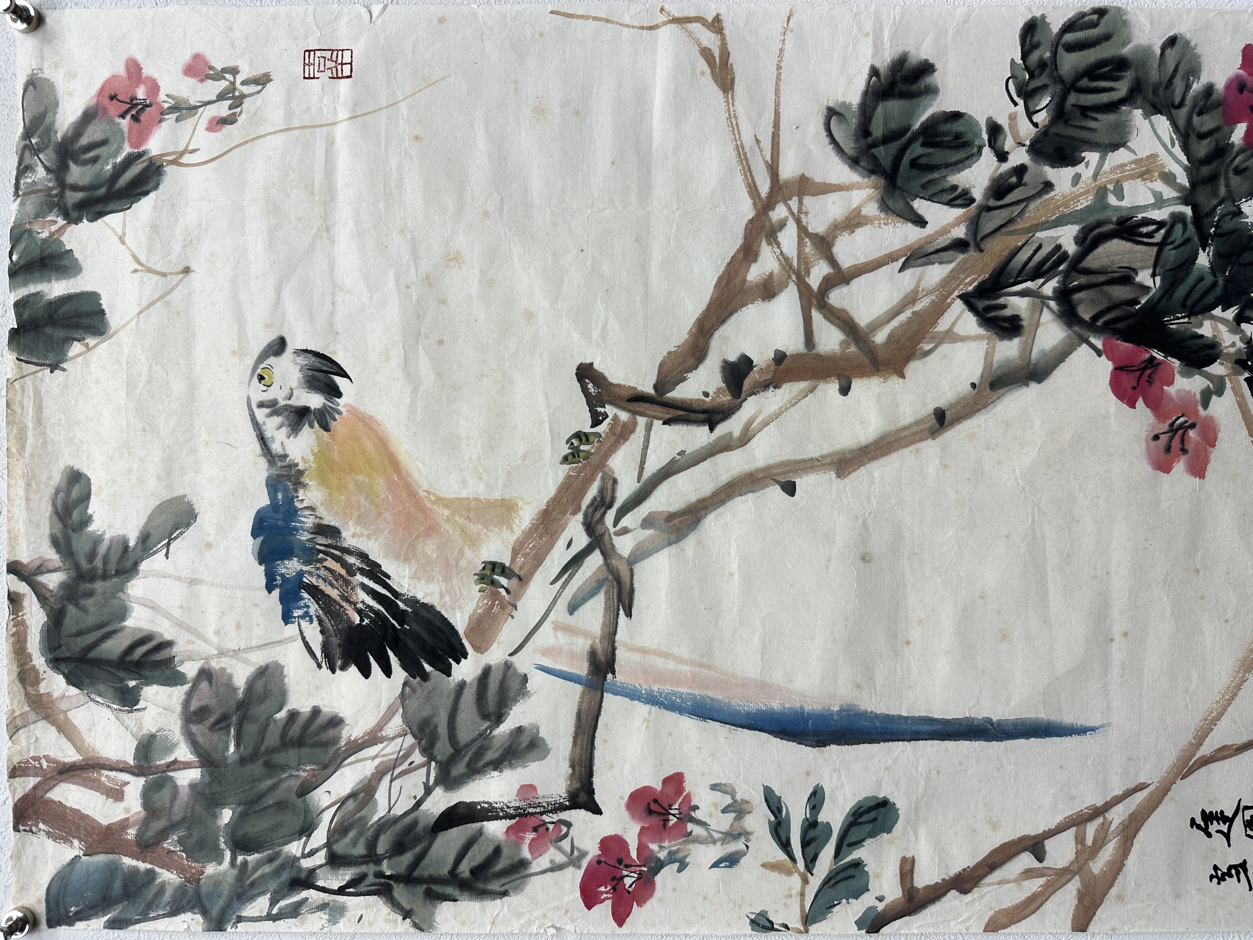 貨幣博物館| 花鳥款識：遲園晴窗雪濤寫於首都。 鈐印：「王雪濤印