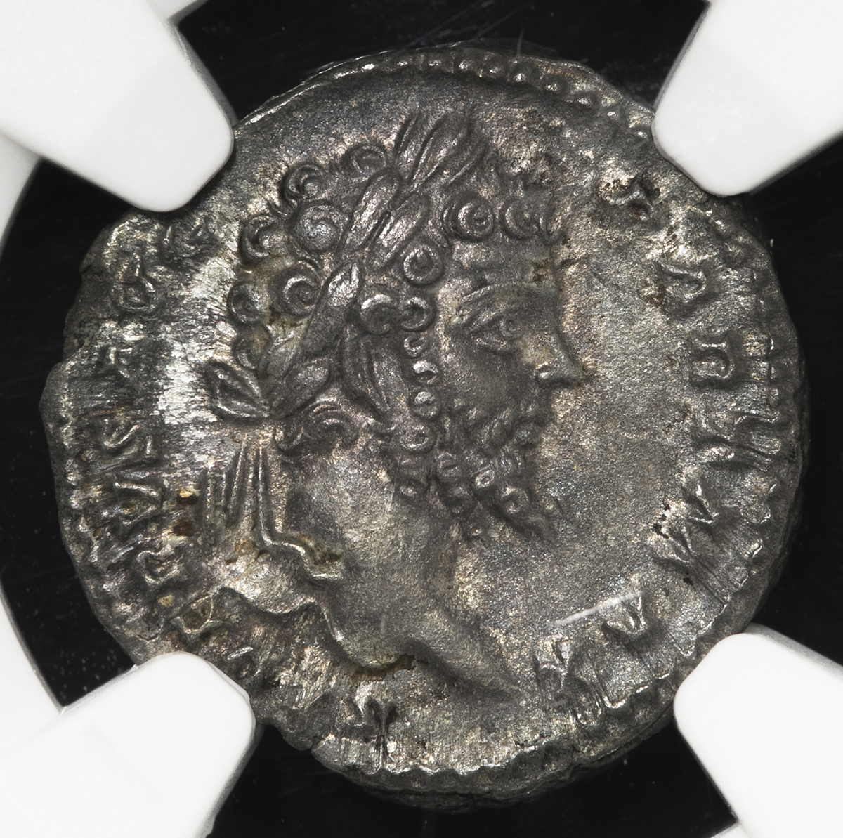 オークション,Roman Empire ローマ帝国 AR Denarius Septimius Severus