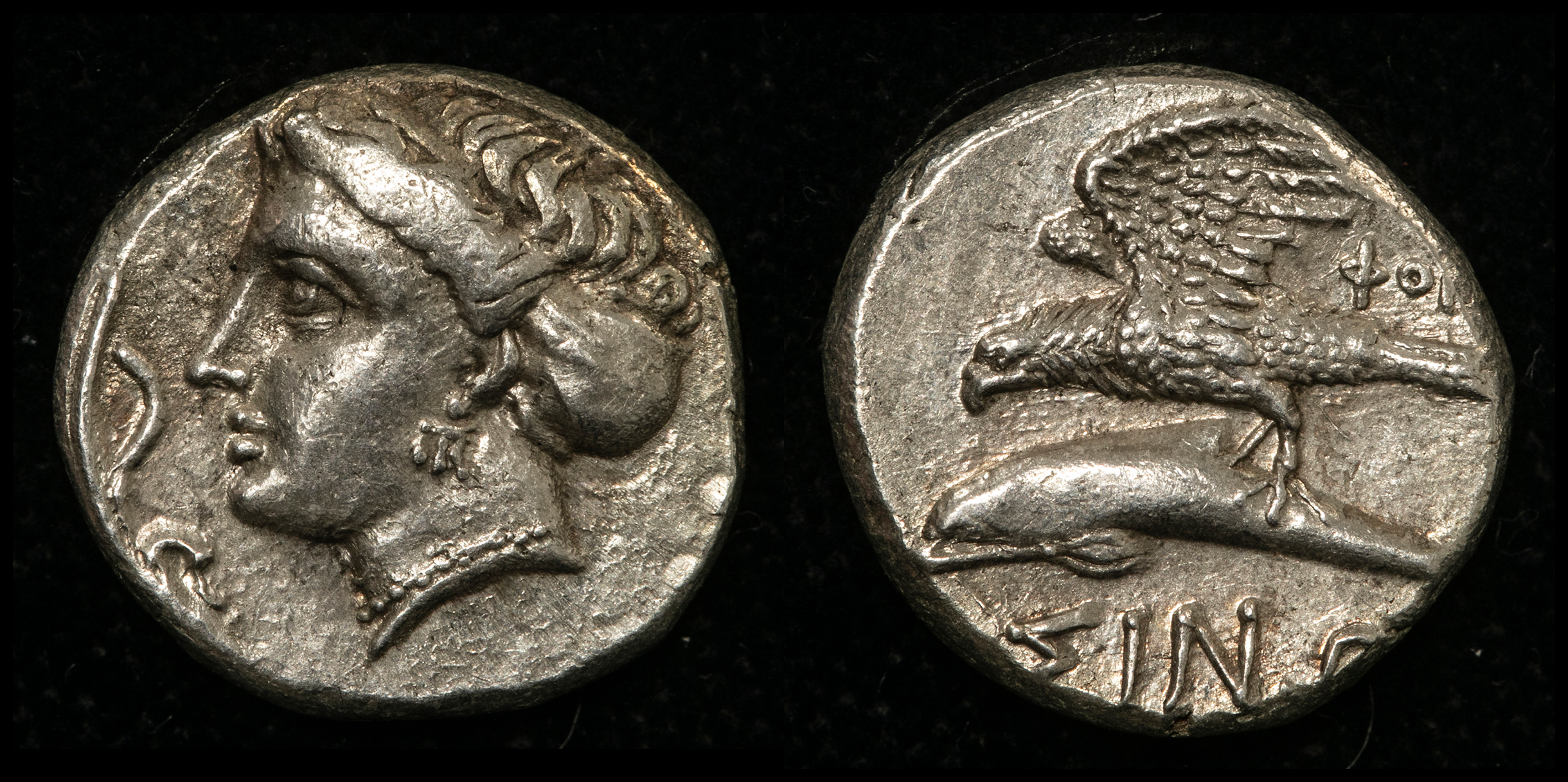 貨幣博物館 | PAPHLAGONIA,Sinope パフラゴニア,シノペ Drachm 330