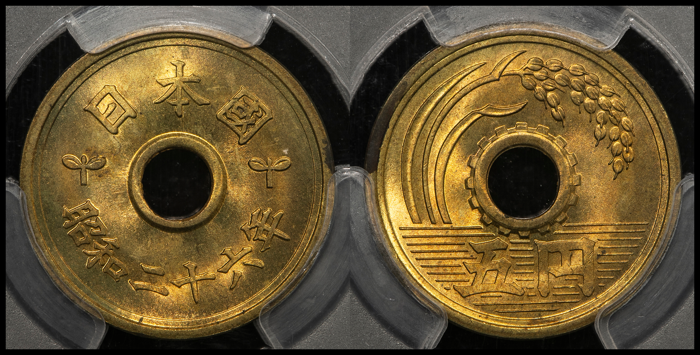 PCGS 5円黄銅貨 昭和26年 MS65-