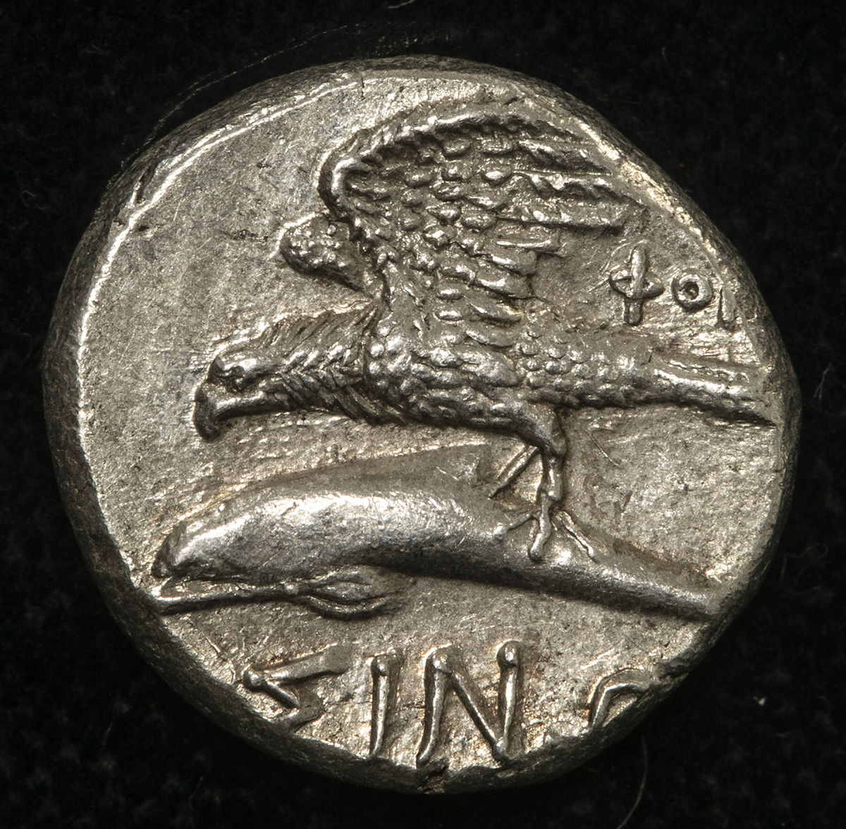 貨幣博物館 | PAPHLAGONIA,Sinope パフラゴニア,シノペ Drachm 330