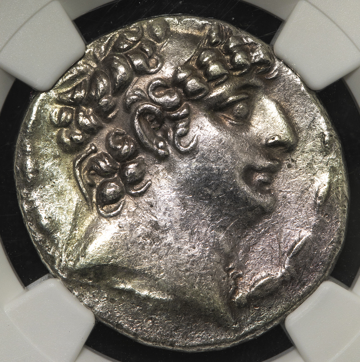 セレウコス朝 フィリップ1世 BC95-BC75 テトラドラクマ - 旧貨幣/金貨 ...