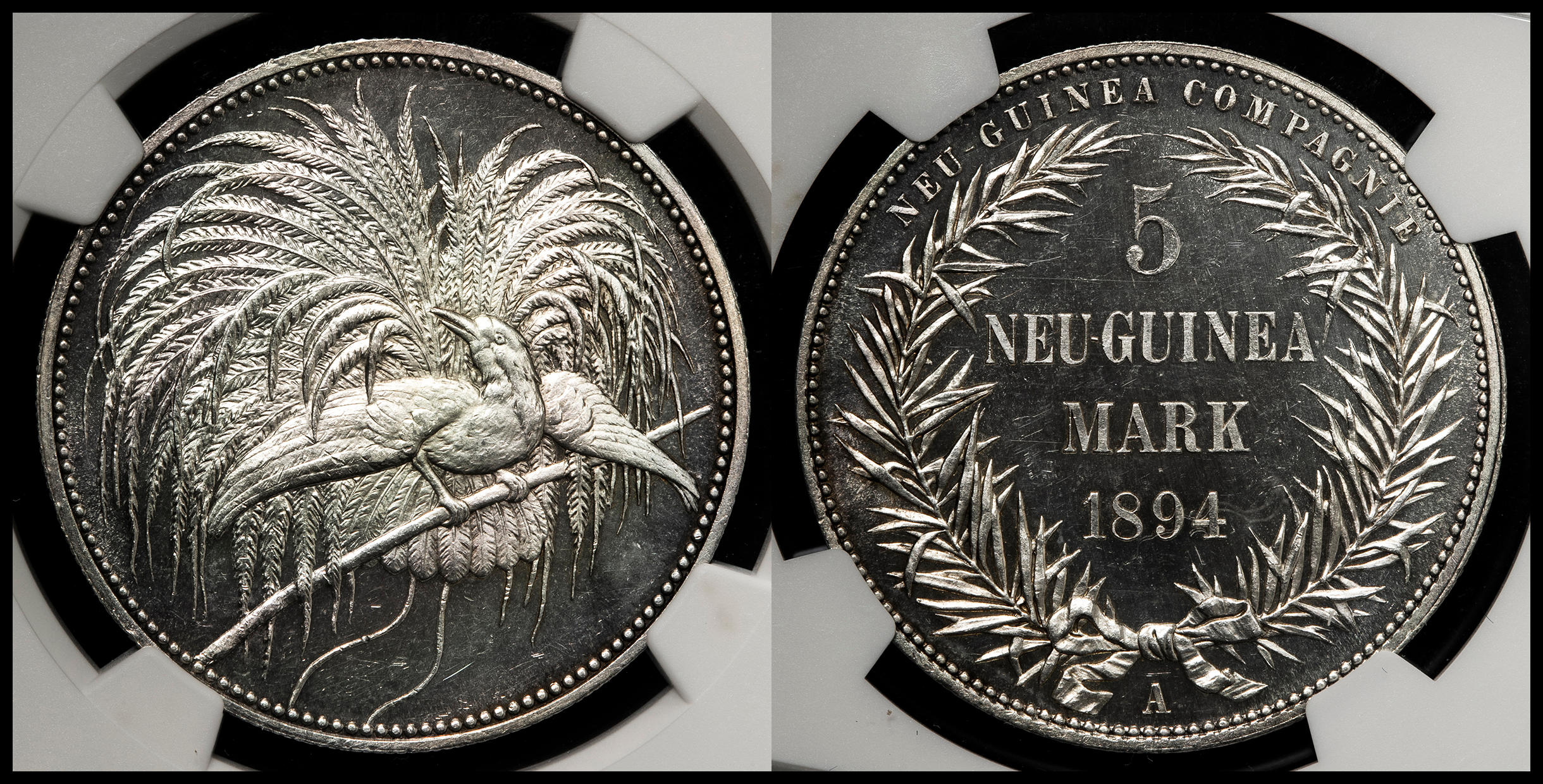 オークション,GERMAN NEW-GUINEA ドイツ領ニューギニア 5Mark 1894A 