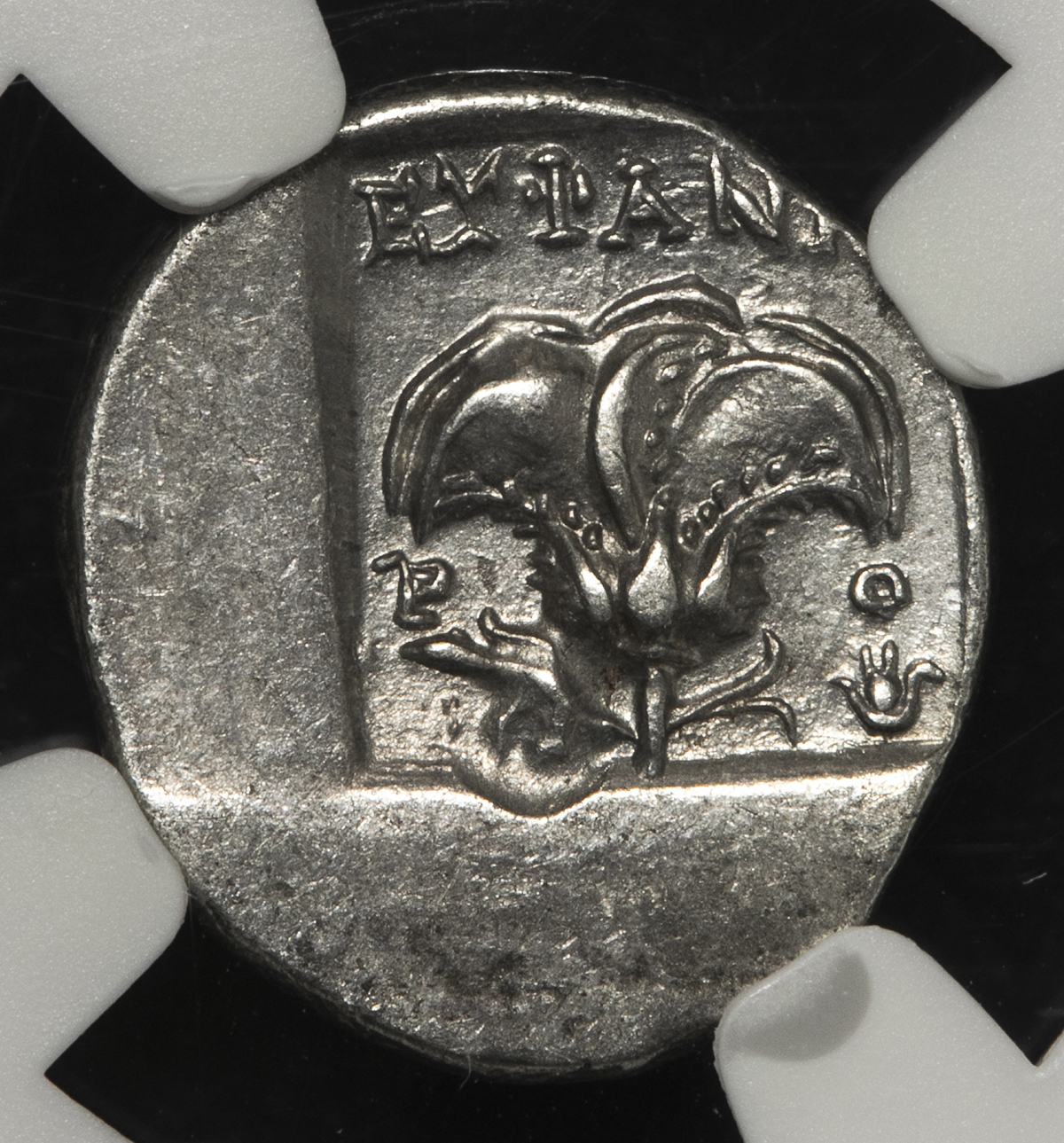 貨幣博物館 | CARIA,Rhodes カリア・ロードス島 AR Drachm 88~84BC EF+