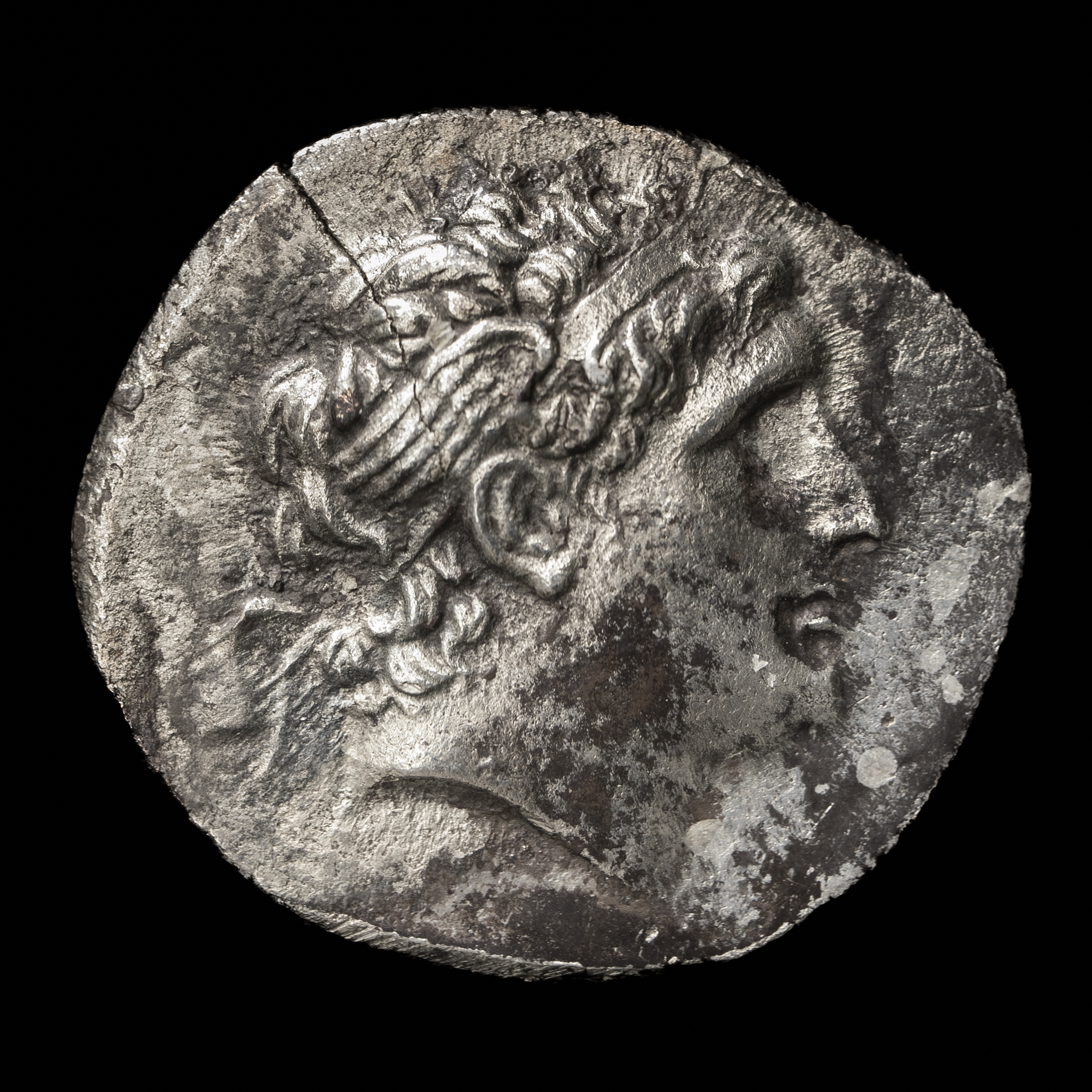 貨幣博物館 | Seleucid Kingdom セレウコス朝シリア AR Tetradrachm