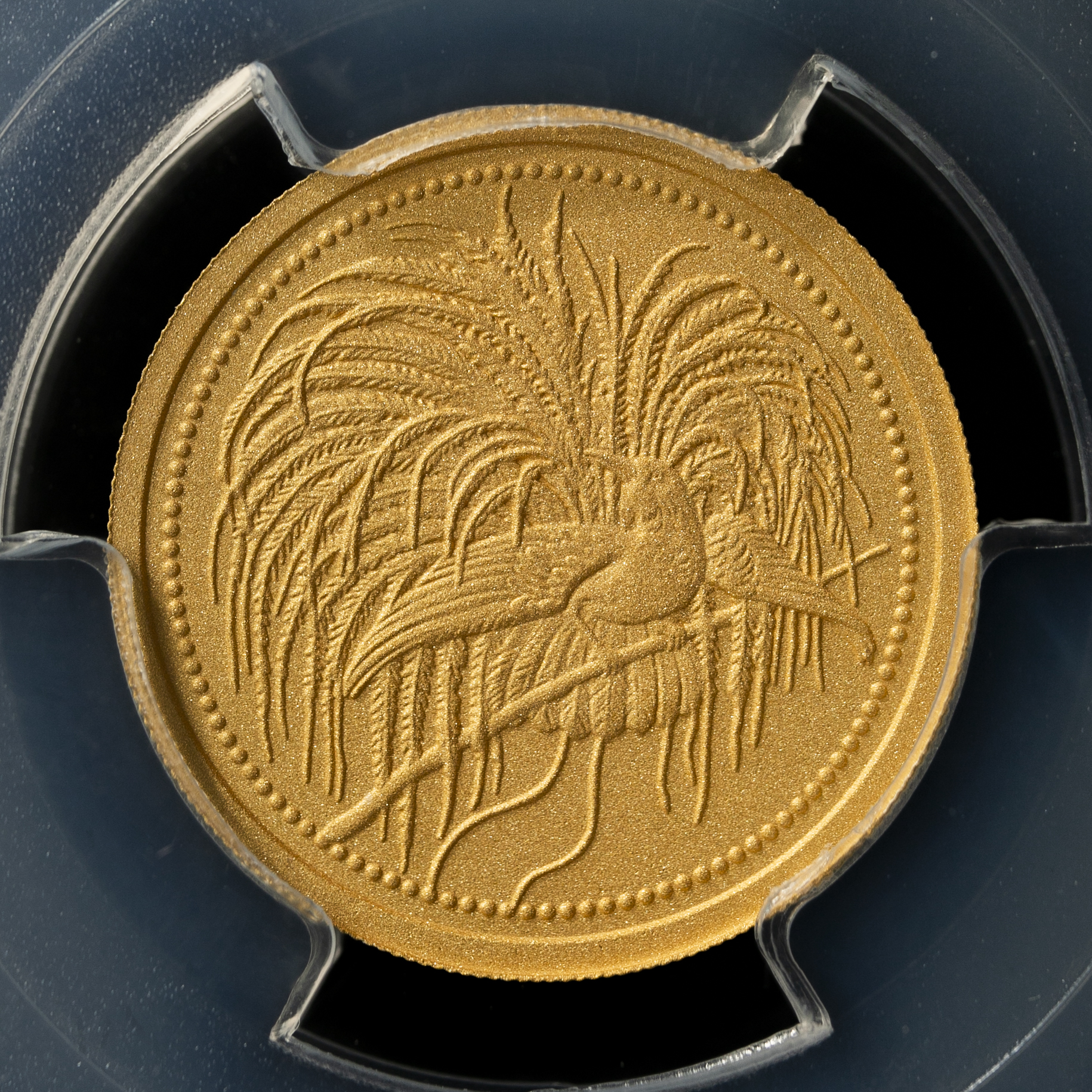 貨幣博物館 | PAPUA NEW GUINEA パプアニューギニア 100Kina 2020