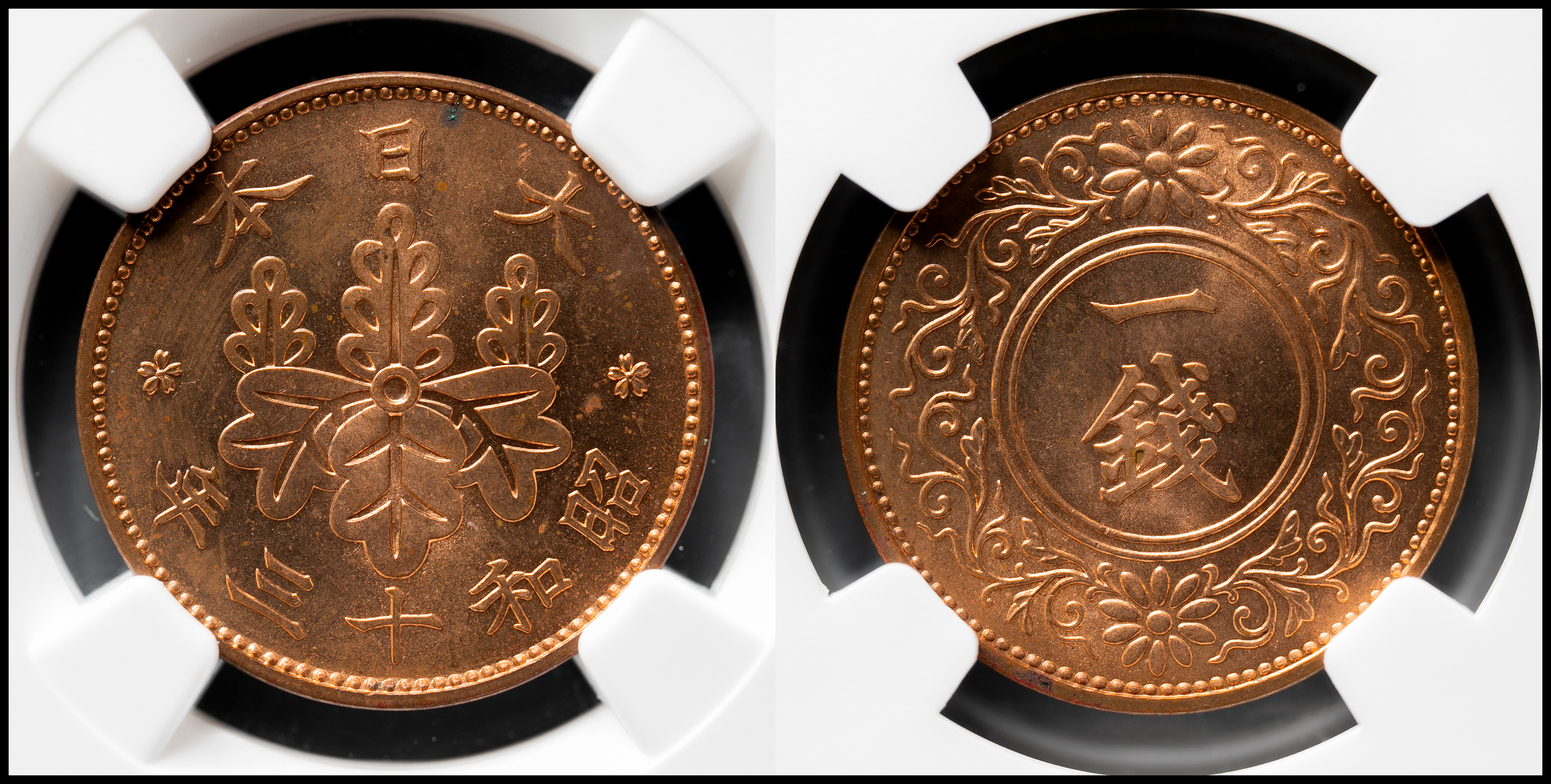 世界第一位 極美品 NGC-MS66RD 桐一銭青銅貨 昭和11年（1936） 貨幣