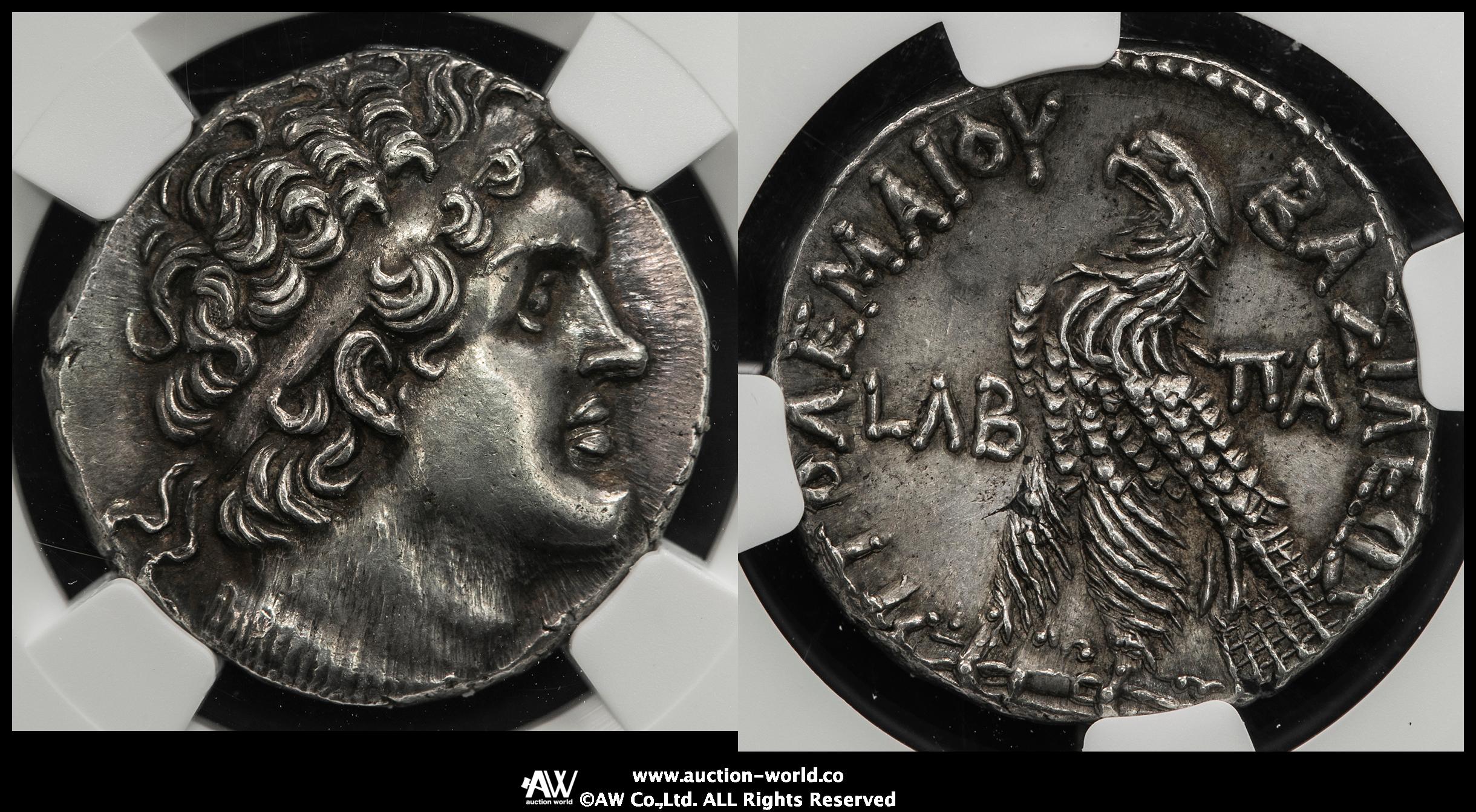 貨幣博物館 | Ptolemaic Kingdom プトレマイオス朝エジプト AR