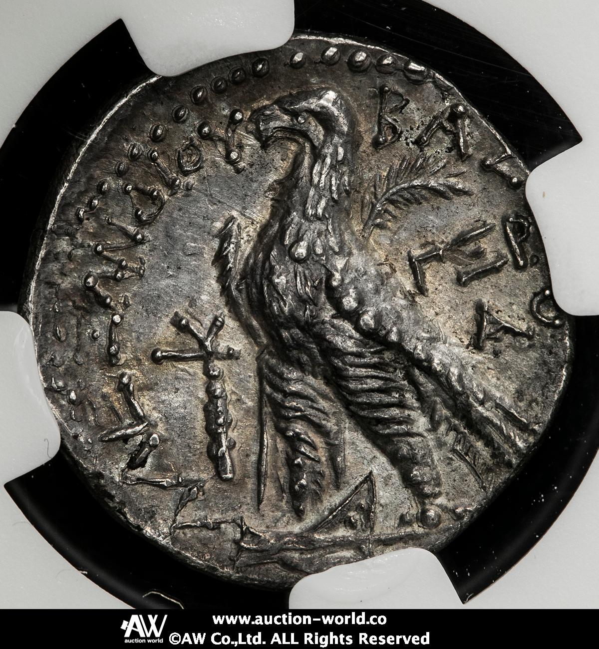 貨幣博物館 | Seleukid Kingdom セレウコス朝シリア AR Tetradrachm