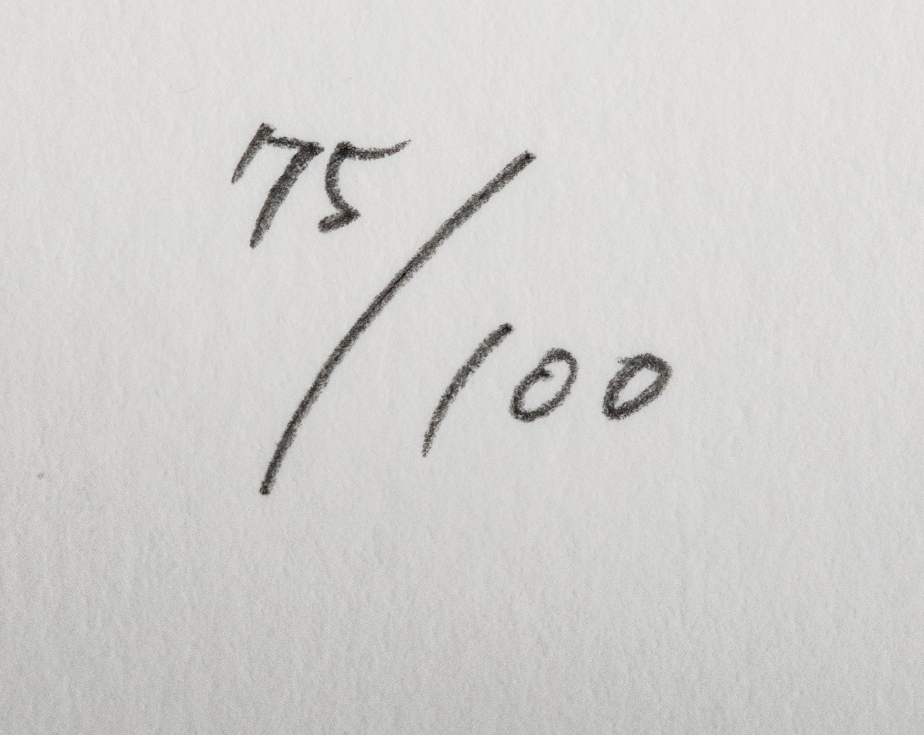 直筆 ハシヅメユウヤ 橋爪悠也 EYEWATER FOUR SEASONS（春） i-img826x778-